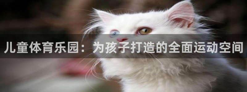 凯时国际app登录