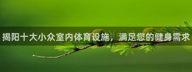 尊龙凯时网站怎么样