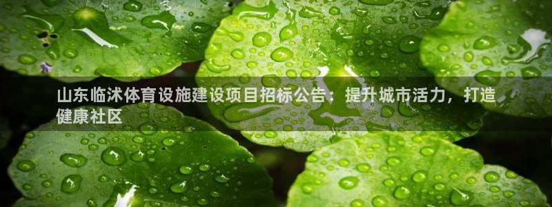 尊龙d88官网登录