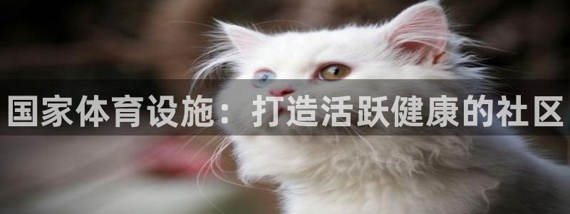 尊龙凯时人生就是博游戏网站