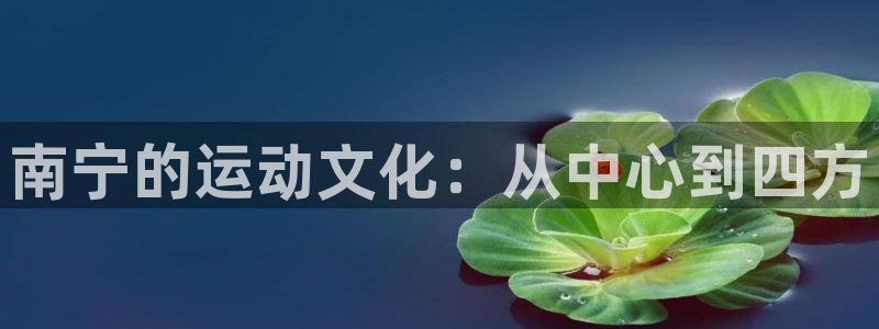 尊龙凯时网站怎么样