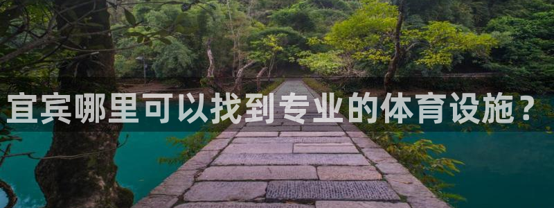 尊龙凯时发展历程