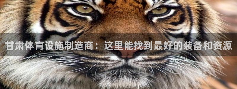 尊龙官方网站最新版V9.3.06介绍